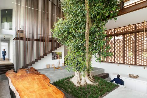 Greenary – екологічний будинок, збудований навколо дерева