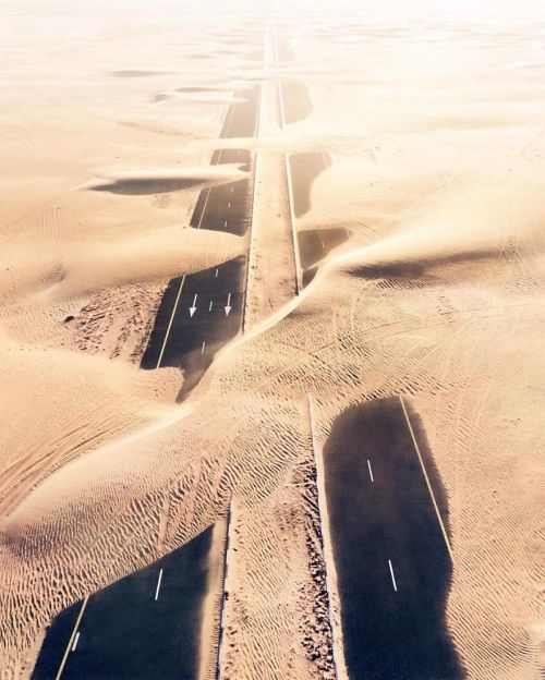 Борьба ОАЭ с пустыней на фотографиях Иринея Герока
