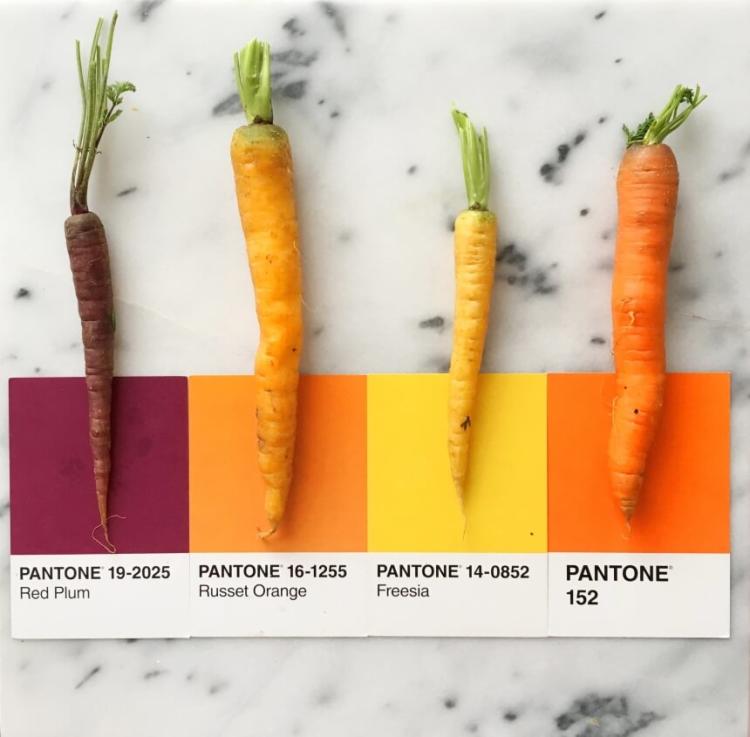 Идеальные сходства продуктов питания и цветов Pantone, обнаруженные Люсией Литман