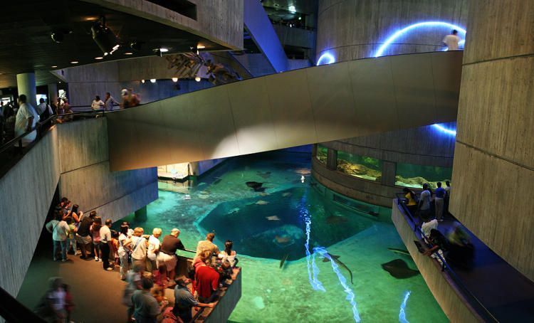National Aquarium, Балтимор
