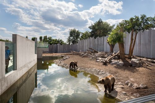 Земля Волков и Медведей. Новая экспозиция в Черкасском зоопарке