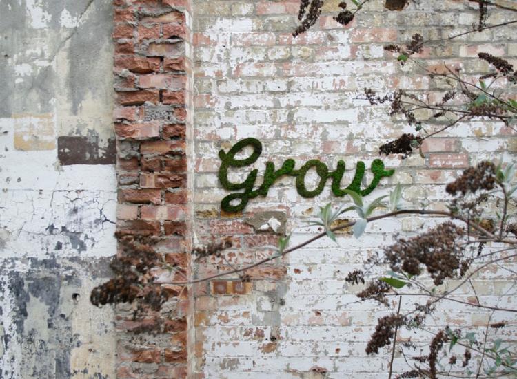 Зеленый стрит-арт: как сделать граффити изо мха