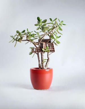 Миниатюрные домики на домашних деревьях