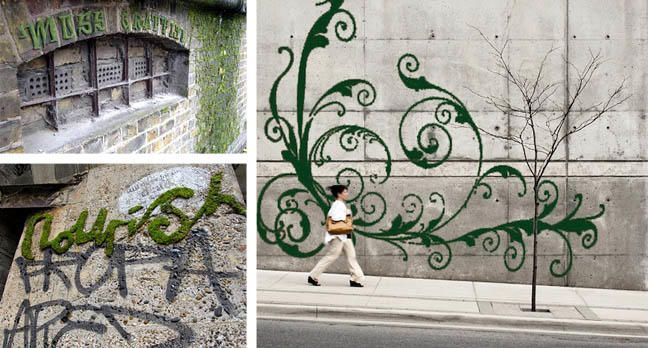 Зеленый стрит-арт: как сделать граффити изо мха