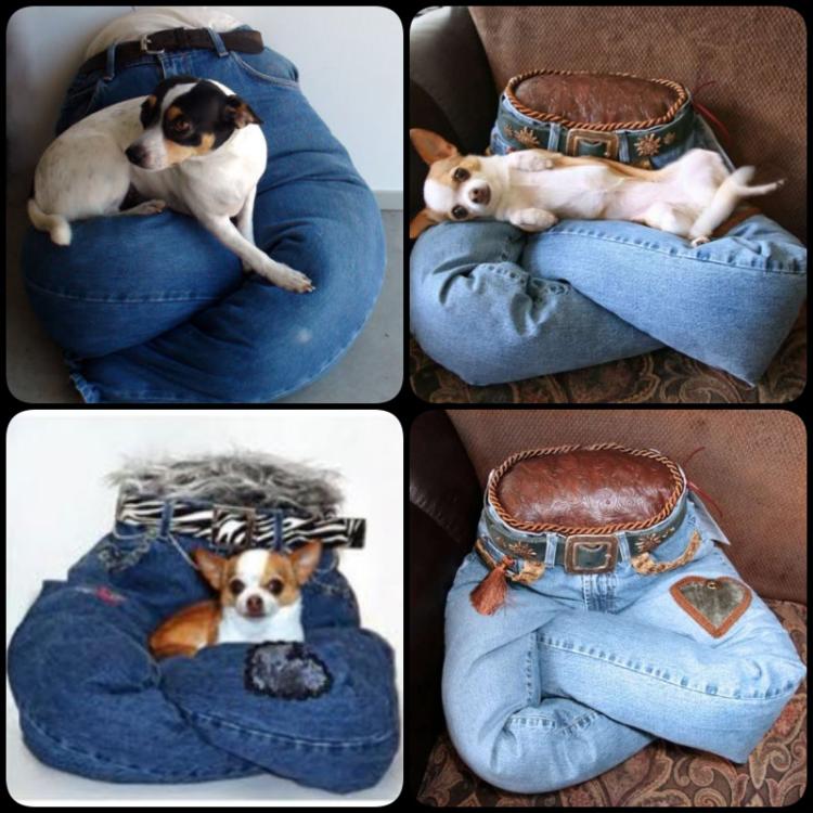 ● Лежаки > Лежак для собаки ПИРАТСКИЙ (велюр) купить в интернет-магазине