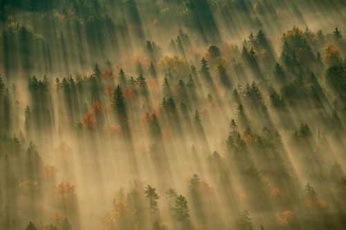 Осень в снимках Майкла Мелфорда