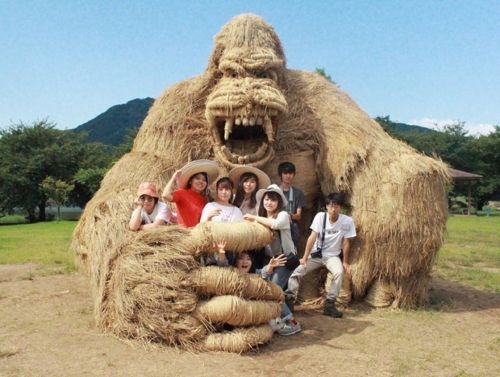 Наши руки не для скуки: арт-поделки из соломы на полях Японии