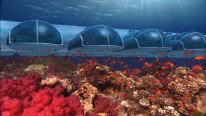 Жизнь в аквариуме: впечатляющие гостиницы под водой