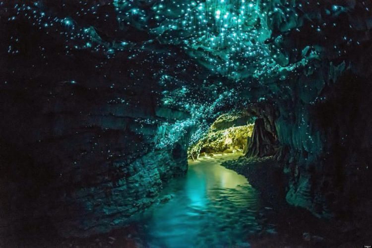 Источник: http://www.sharenator.com/spectacular-view-inside-waitomo-caves/