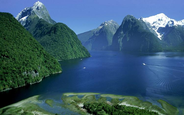 Источник: http://www.wonderfulnature.ru/statji/New_Zealand_nature.php