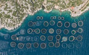 Хозяйственная геометрия: рыбный промысел Греции в снимках Бернхарда Ланга
