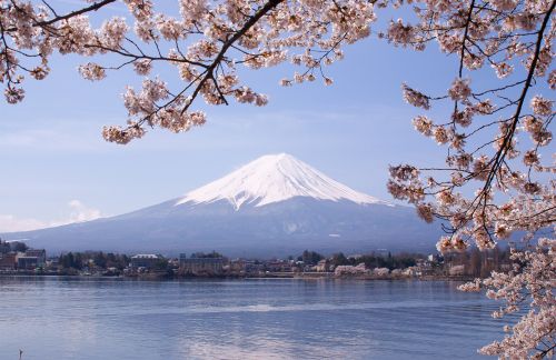 Лучшие места в Японии, где поселившись можно правильно встретить Hanami