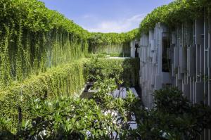 Комплекс Pure Spa. Висячі сади у В'єтнамі