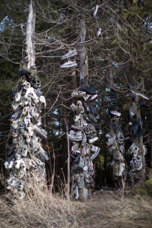 Таинственная инсталляция в канадском лесу из старой обуви