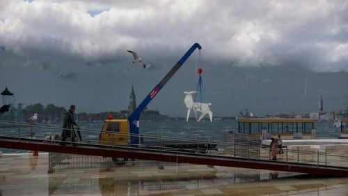 Origami Deer Жанни Кадирової: шлях скульптури з прифронтового Покровська до Венеційської бієнале

