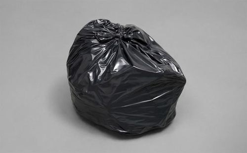 Мішок зі сміттям за 65,5 тисяч доларів: сучасне мистецтво від Гевіна Терка
