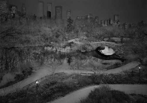 Deep in Dream: облик ночного Central Park в объективе Майкла Массаи