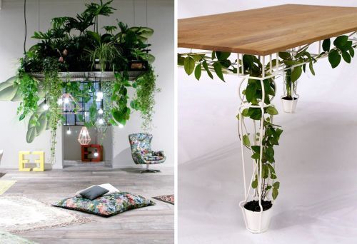 27 вариантов размещения комнатных растений 