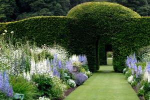 5 лучших садов Англии для весенней прогулки