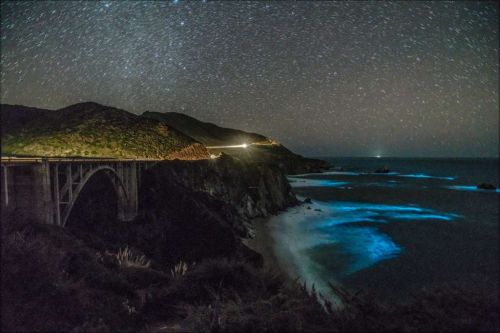 Океан у берегов Калифорнии начал светиться