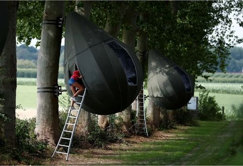 Палатки на дереве в форме слезы: отдых в Бельгии во время пандемии 