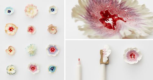 Нежные цветы из карандашной стружки в исполнении Харуки Мисавы
