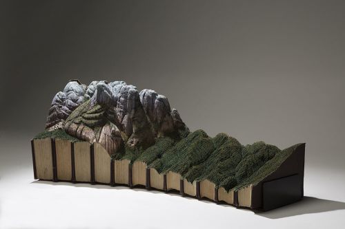 Книжные ландшафты канадского художника Гая Ларами

