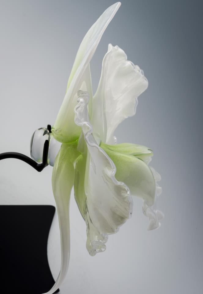 Удивительные стеклянные цветы от Джейсона Гамрата