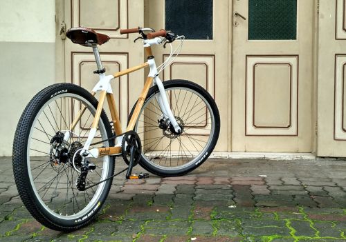 Золота нагорода для бамбукового велосипеда

