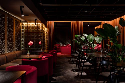 YEAHNOT BAR в Ужгороді: камерність, яка формує новий досвід