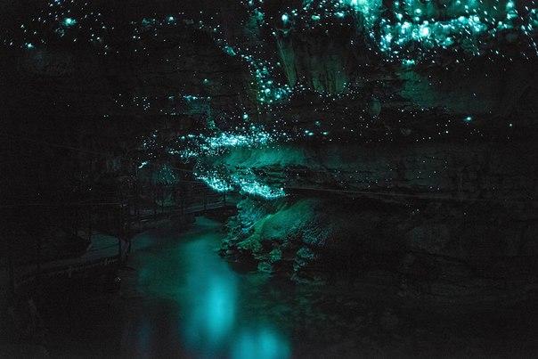 Пещера Вайтомо, Новая Зеландия