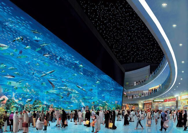 Dubai Mall Aquarium, Дубай, ОАЭ