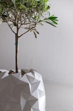 Оригами-вазон, растущий вместе с вашими зелеными любимцами 