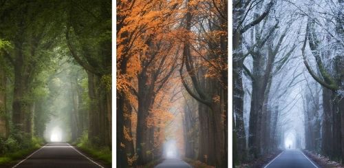 Голландский фотограф показал, как выглядит одно и то же живописное место в разное время года


