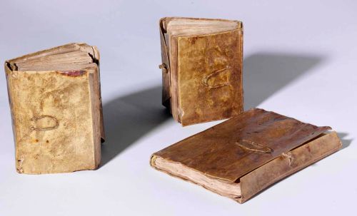 Codex Forster: оцифрованные материалы Леонардо да Винчи 
