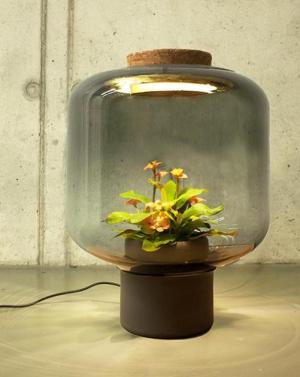 Mygdal Plantlamp. Оранжерея в лампе от немецких дизайнеров