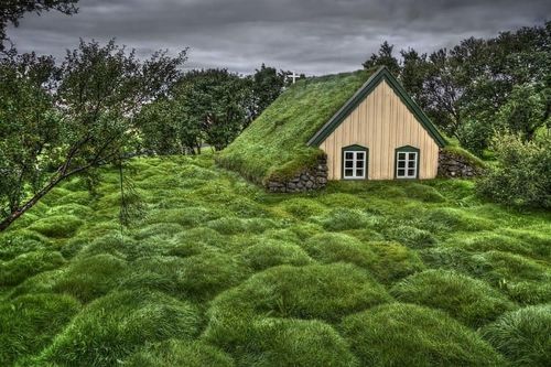 Зеленые крыши Скандинавии