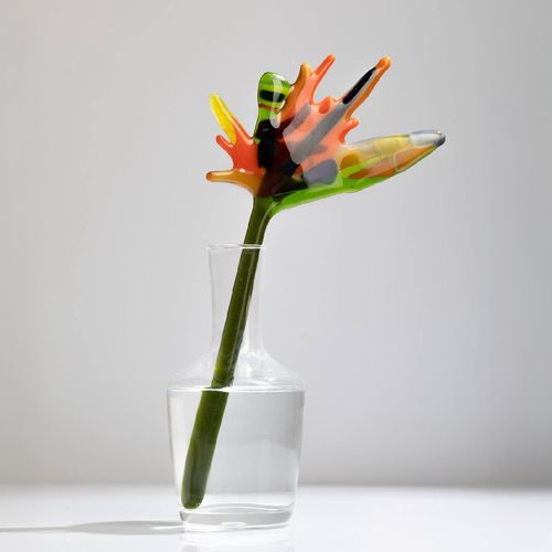 Скляна квітка Стреліція