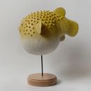 Рыба фугу на подставке