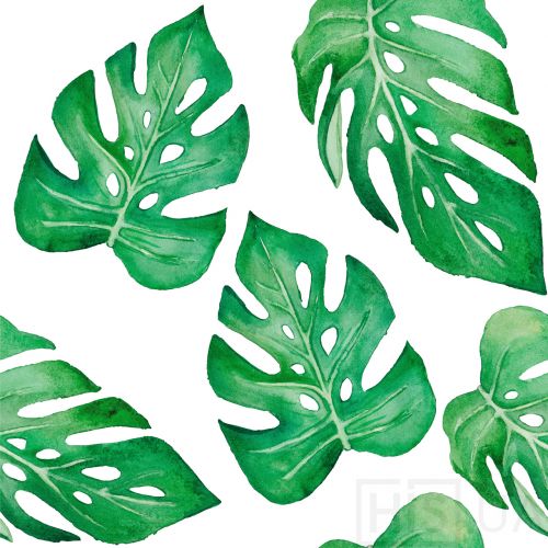 Monstera leaf | Зелений Monstera leaf | Зелений | Інтернет-магазин дизайнерскої та сучасної меблі для дому, кафе, барів та ресторанів - His.ua