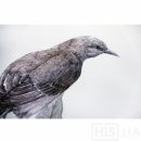 Картина Птица - фото 3