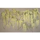 Обои Mimose - фото 4