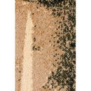 Ковер Sukhoviy - фото 4