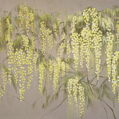 Обои Mimose