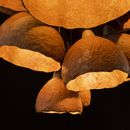 Подвесной светильник Grono 11 hlybyna - фото 6