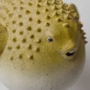 Риба фугу на підставці - фото 4