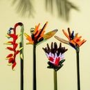 Скляна квітка Геліконія - фото 5