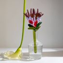 Скляна квітка Протея - фото 2