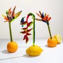 Скляна квітка Стреліція - фото 2