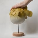 Риба фугу на підставці - фото 3